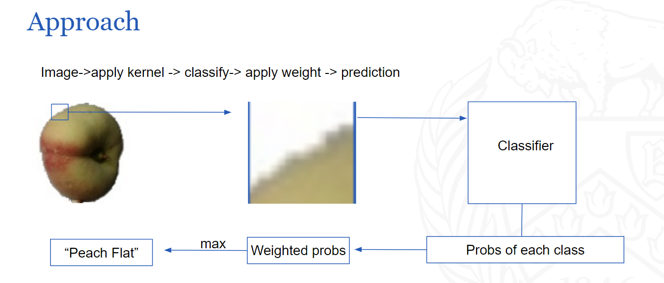 Fruit/Vegetable Detection